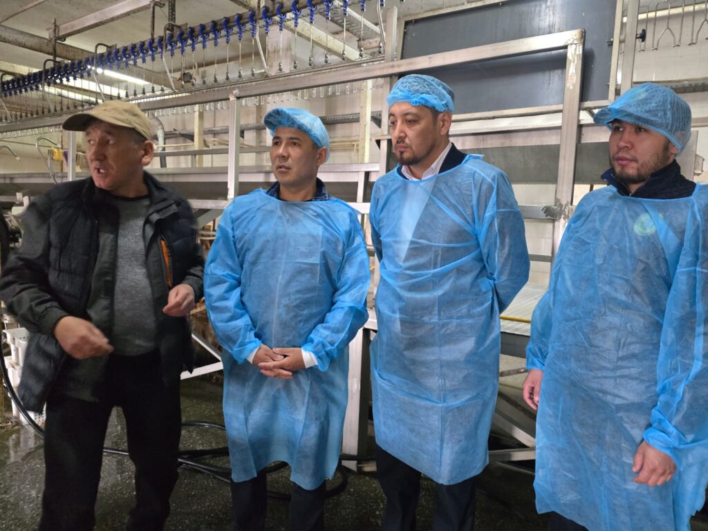 «Халал Даму»: Жоспарлы айлық аудит жұмыстары жүргізілді